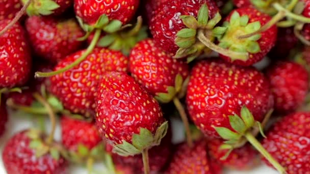 Φρέσκα φρούτα ορεκτικά και όμορφες φράουλες ως φόντο τροφίμων. Βιολογική υγιή ώριμη φράουλα διατροφή. — Αρχείο Βίντεο