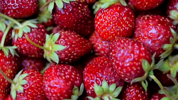 Friss gyümölcsök étvágygerjesztő és gyönyörű szamóca az élelmiszer háttér. Bio egészséges érett Strawberry Nutrition. — Stock videók