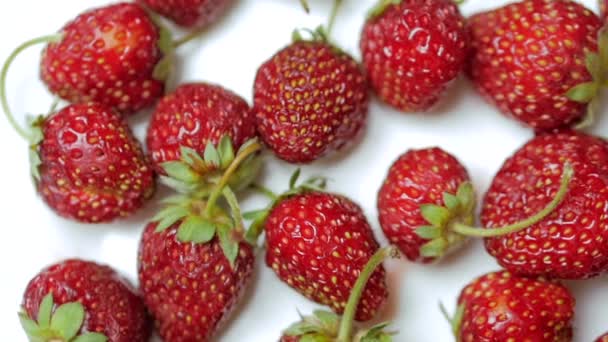 Fruits frais Fraises appétissantes et belles comme fond alimentaire. Bio saine nutrition fraise mûre . — Video