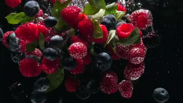 Framboises fraîches avec des bleuets et des feuilles de menthe fraîche tombent sur un fond noir dans l'eau, éclaboussures sur un fond noir. Déposer les fruits frais et les baies dans l'eau. Manger sainement, lentement — Video