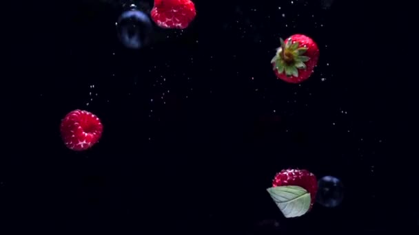 Framboises fraîches avec des bleuets et des feuilles de menthe fraîche tombent sur un fond noir dans l'eau, éclaboussures sur un fond noir. Déposer les fruits frais et les baies dans l'eau. Manger sainement, lentement — Video