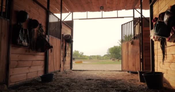 厩舎で撮影し、日没時に厩舎から外に出る男の目を通しての眺め。動物の世話をする馬と人の概念. — ストック動画