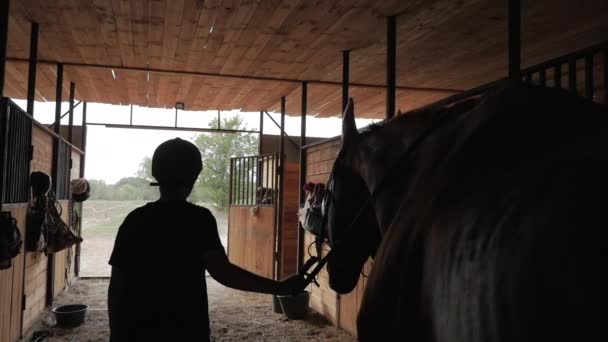 Rider wychodzi ze stajni trzyma zespół konia, z stajni o zachodzie słońca. Opieka nad zwierzętami. Koncepcja koni i ludzi. — Wideo stockowe