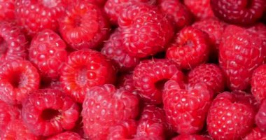 Yakın Rotasyon Loopable Ahududu. Taze, Sulu Ahududu Arka Plan, Olgun. Makro Kırmızı Ahududu Meyve. Gıda Dackground olarak Taze Ahududu Meyveler. Sağlıklı Gıda Organik Beslenme.