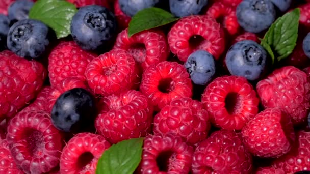 Nahaufnahme Rotation loopable Himbeere. frischer, saftiger Himbeerhintergrund, reif. Makro rote Himbeeren Früchte. frische Himbeerfrüchte als Nahrungsgrundlage. gesunde Ernährung, biologische Ernährung. — Stockvideo