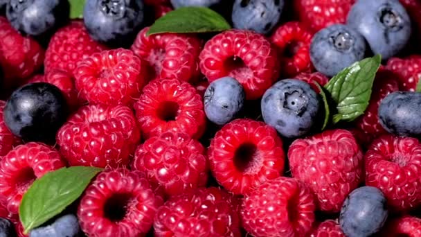 Nahaufnahme Rotation loopable Himbeere. frischer, saftiger Himbeerhintergrund, reif. Makro rote Himbeeren Früchte. frische Himbeerfrüchte als Nahrungsgrundlage. gesunde Ernährung, biologische Ernährung. — Stockvideo