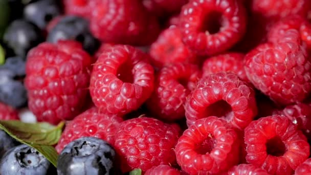 特写旋转可循环树莓。新鲜,多汁的树莓背景,成熟。宏红树莓水果。新鲜树莓水果作为食物达克地面。健康食品有机营养. — 图库视频影像