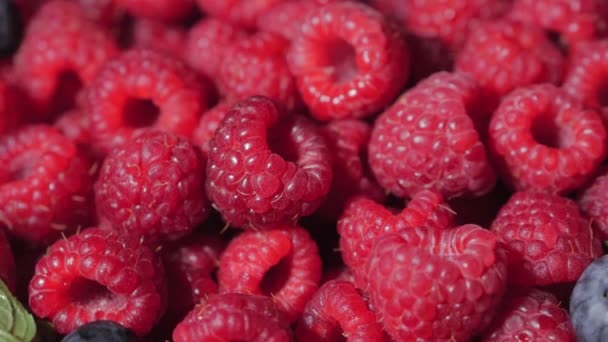 Cerrar Rotación Frambuesa Loopable. Fondo fresco y jugoso de frambuesa, maduro. Macro Red Raspberries Fruit. Frutas frescas de frambuesa como alimento Dackground. Alimento saludable Nutrición ecológica . — Vídeos de Stock