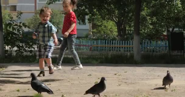 Счастливый ребёнок бежит за птицами, голуби летят на заднем плане, подбегая к нему маленьким мальчиком в воздух. Концепция счастливой семьи. Свобода детства . — стоковое видео