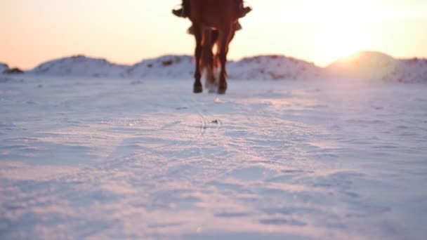 Pferde mit Reitern und der Winter bei Sonnenuntergang aus nächster Nähe. schönes Pferd mit einem Reiter im Winter, Zeitlupe. Schießen auf stedikam, Konzept Liebe die Tierwelt.