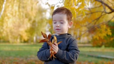 Çocuklar parkta oynar, sarı sonbahar yapraklarını gülümseyen bir çocuğa, mutlu bir bebeğe, mutlu duygulara atarlar. Mutlu çocuk kavramı duyguları etkiler..