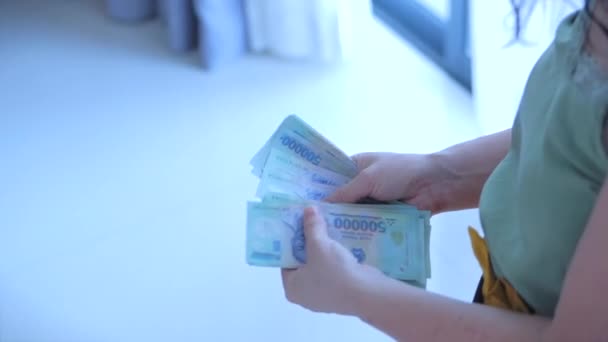 Close-up van vrouwelijke handen tellen van een grote hoeveelheid geld met de hand, een vrouw telt contant geld. Begrip rijkdom, geld als een rekening, valuta. — Stockvideo