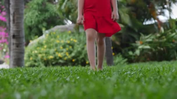 Primer plano niña jugando al aire libre ir en verde brillante hermosa hierba con flores amarillas, al aire libre en los pies de ángulo alto de un niño pequeño que corre en el césped cerca de la casa . — Vídeo de stock