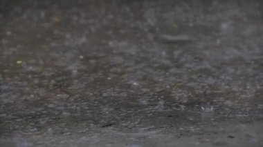 Yazın veya sonbaharda yağan yağmur damlaları şehirdeki asfalta düşer ve büyük bir su birikintisine dönüşerek caddeyi sel basar. Sel, yağmur mevsimi ve şiddetli yağmurdur. Yağmur damlaları yağar.