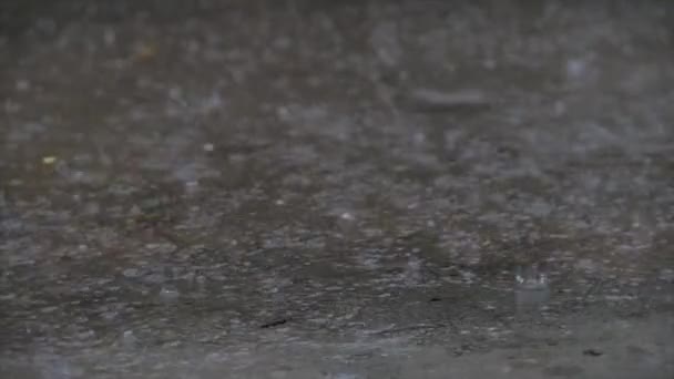 Gotas de perto de chuva de verão ou outono de água caem sobre asfalto na cidade transformando-se em uma grande poça, inundando a rua. As inundações são a estação chuvosa e chuvas fortes. Gotas de chuva caem . — Vídeo de Stock