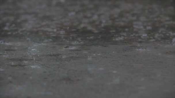 In Großaufnahme fallen sommerliche oder herbstliche Wassertropfen auf den Asphalt der Stadt und verwandeln sich in eine große Pfütze, die die Straße überflutet. Überschwemmungen sind die Regenzeit und Starkregen. Regentropfen fallen. — Stockvideo
