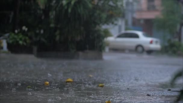 閉じる夏や水の秋の雨のドロップダウンアスファルトの上で市内の大規模な水たまりになって、通りの洪水。洪水は雨季と大雨です。降水量の減少. — ストック動画