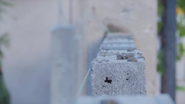 Tuğla ustalarının ellerine yakın çekim, erkek gönüllü işçi tuğlayı betonla duvara seriyor, mala kullanıyor, inşaatçı tuğlaları yerleştiriyor, esnek bir ip kullanarak duvarcılık malzemelerini dengeliyor..