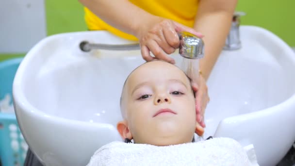 Parekhmacher, après avoir coupé les cheveux d'un enfant d'âge préscolaire, se laver les cheveux, savon avec shampooing, enfant se couche au repos et profite pendant qu'ils se lavent les cheveux après qu'ils ont leur coupe de cheveux. — Video