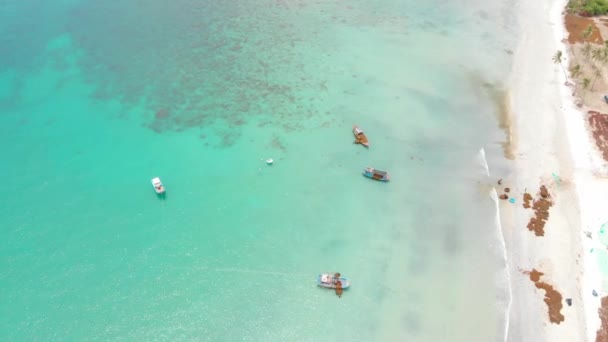 Professional fishing boat, drone shooting of an Asian fishing schooner, boat with seaweed on board, sailors fossing seaweed into the seaweed before going ashore. — Stock Video