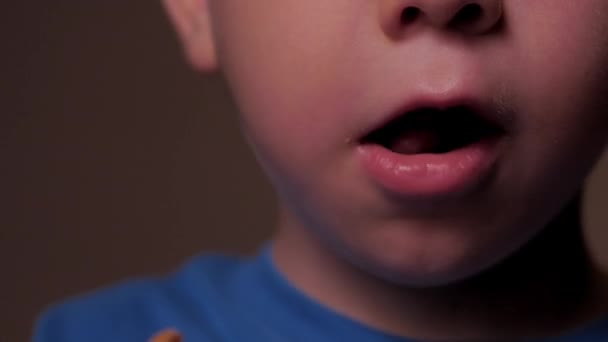 Милый маленький кавказский ребенок ест фаст-фуд. Голодный ребенок кусает наггинсов, хлебную колмару. Маленький ребенок в доме быстрого питания ест. Закрыть портрет маленького мальчика, обедающего. — стоковое видео
