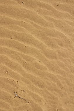 Dalga desenlerinin kum üzerinde Kapat