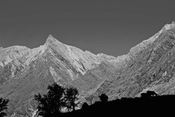 Sheep Shadows in Foreground with Jagged Rugged Moutain in the Background