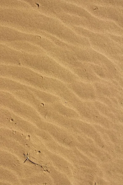 Dalga desenlerinin kum üzerinde Kapat