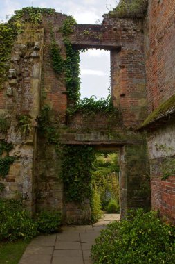 Boş tuğla pencere ve kapı Ivy büyüyen etrafında ile
