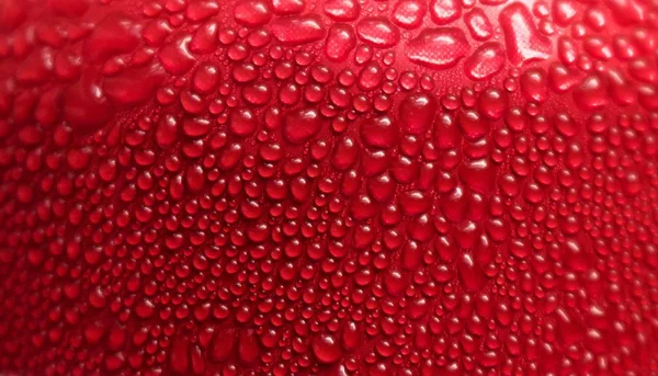 차가운 물방울의 클로즈업 스톡 사진