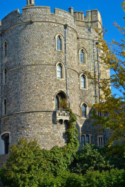 Windsor Castle duvar Ivy Growing ile