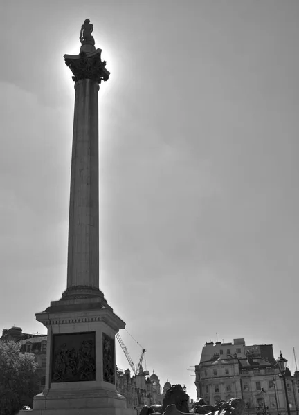 Nelson Column Trafalgar Square London — Stockfoto