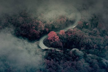 Ülkede yol asfalt yol gece gizemli görünümüyle peyzaj