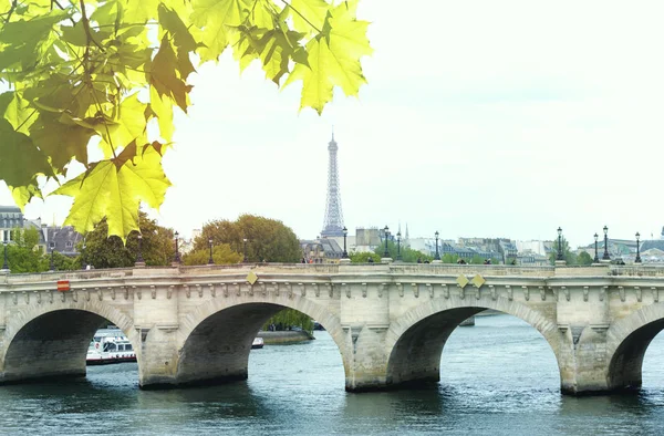 Άνοιξη Στο Παρίσι Πύργος Του Άιφελ Ποταμό Και Maple Tree — Φωτογραφία Αρχείου