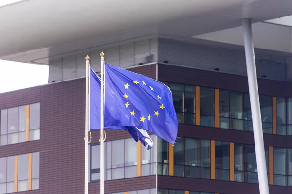 Strasbourg France Drapeaux Devant Les Bâtiments — Photo