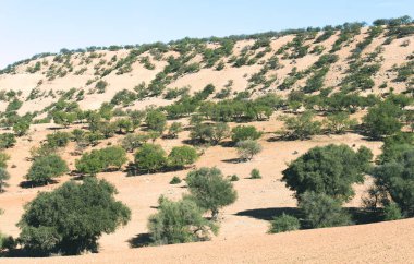 Tipik Fas manzara Kuzey Afrika Fas