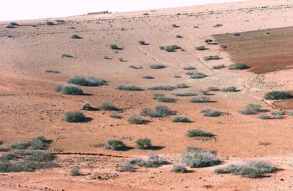 Typical Moroccan Landscape North Africa Morocco