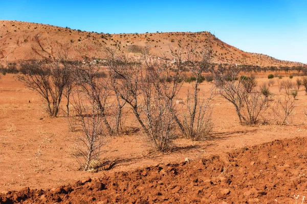 Typical Moroccan Landscape North Africa Morocco