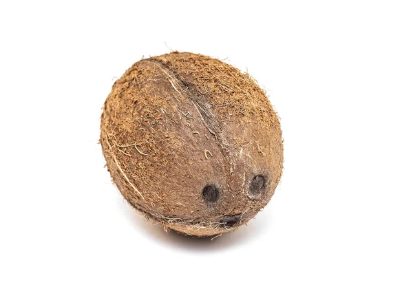 Real Coconut Isolerad Vit Bakgrund — Stockfoto