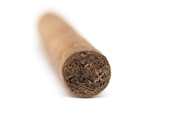 Närbild Kubansk Cigarr Isolerad Vit Bakgrund Havana Brown Cigar — Stockfoto