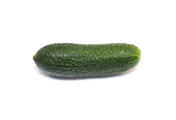 Verse Kleine Groene Komkommers Geïsoleerd Witte Achtergrond — Stockfoto