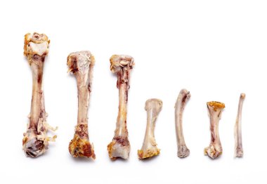 Beyaz Arka Planda Izole Etli Tavuk Kemikleri