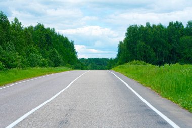Rusya 'da yeşil ağaçlar arasında boş asfalt yol, yaz manzarası
