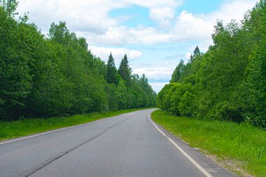 Rusya 'da yeşil ağaçlar arasında boş asfalt yol, yaz manzarası