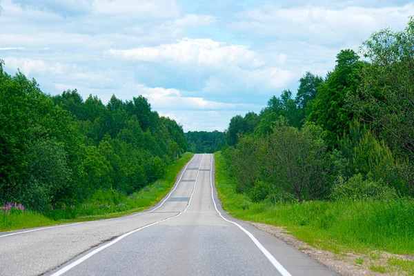 Empty asphalt road empty road between green trees in Russia, summer landscape