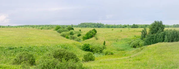 Панорамный Вид Русский Пейзаж Зелеными Деревьями Полями Сельский Пейзаж — стоковое фото