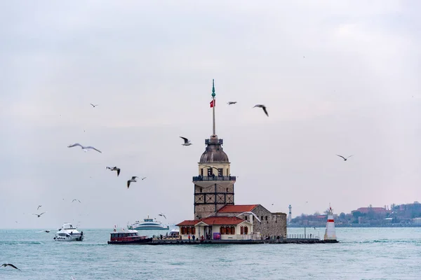 伊斯坦布尔 Dec 12月31日 海鸥在Maiden Tower或Kiz Kulesi Bosphorus Ships Tourists附近飞行 2019年土耳其 — 图库照片