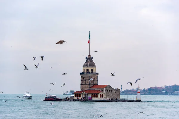Istanbul Dec Γλάρος Που Πετά Κοντά Στον Πύργο Maiden Στο — Φωτογραφία Αρχείου