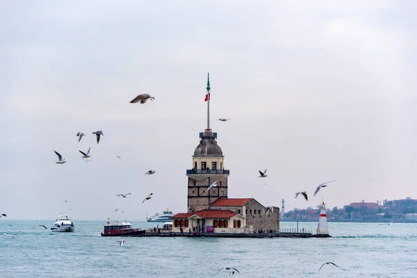 Istanbul Dic Gaviota Volando Cerca Maiden Tower Kiz Kulesi Bósforo — Foto de Stock