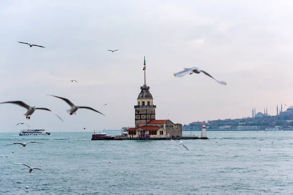 伊斯坦布尔 Dec 12月31日 海鸥在Maiden Tower或Kiz Kulesi Bosphorus Ships Tourists附近飞行 2019年土耳其 — 图库照片